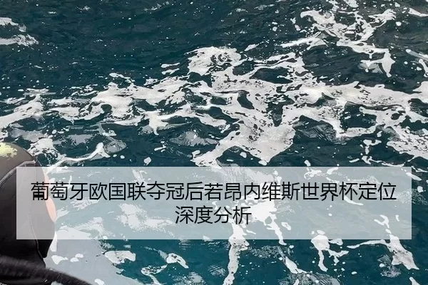 葡萄牙欧国联夺冠后若昂内维斯世界杯定位深度分析
